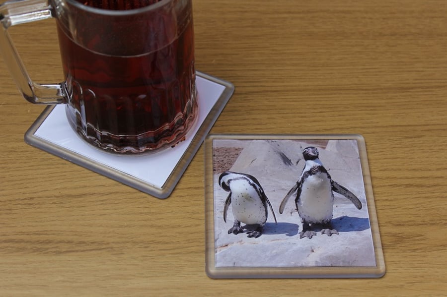 Nosey Penguin, Busy Penguin (Single Drinks Coaster)