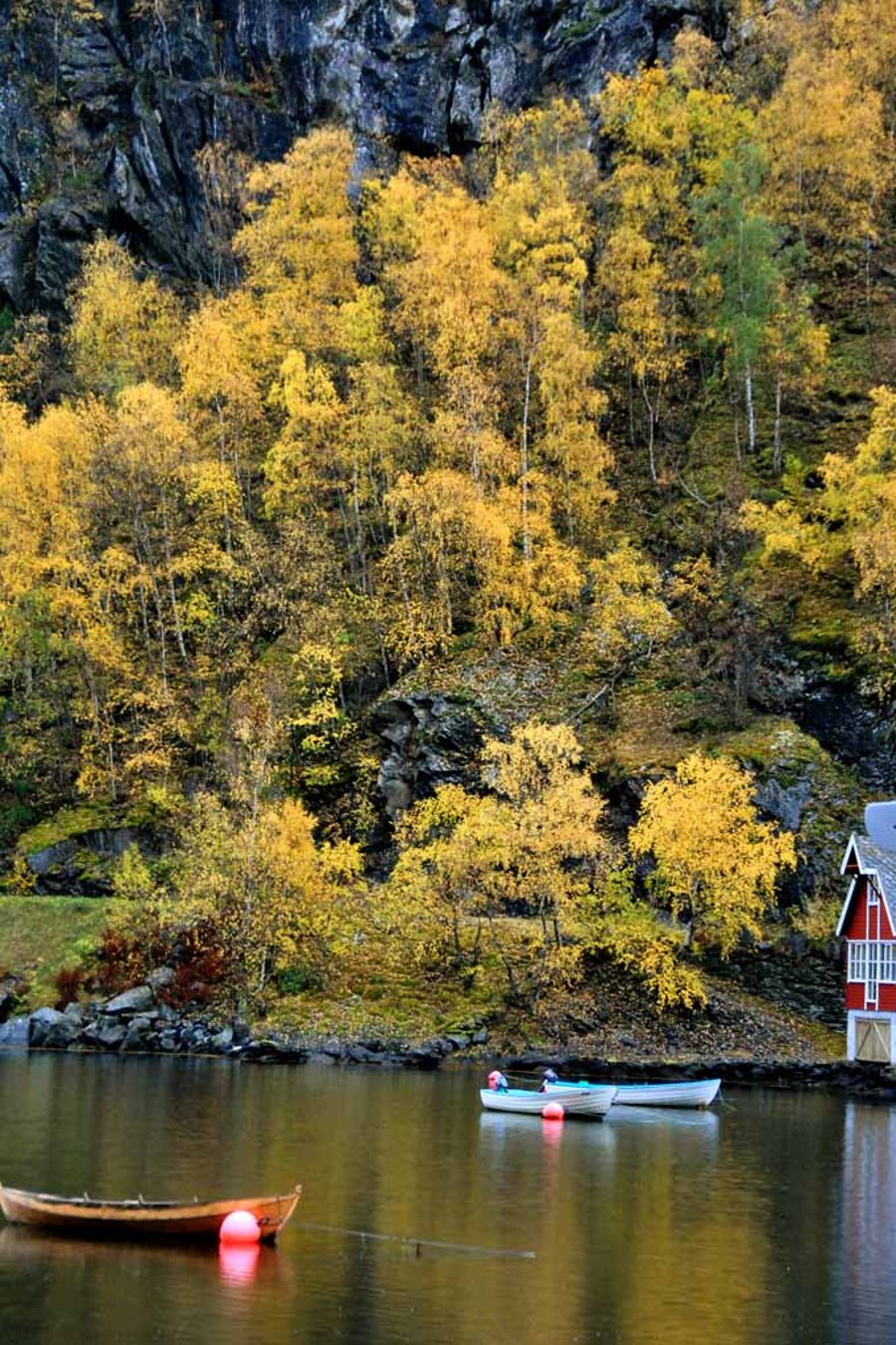 Flam Aurlandsfjord Norway Scandinavia 12"x18" Print
