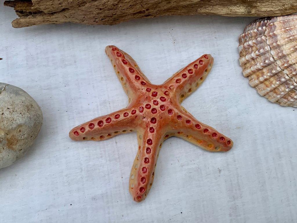 Handmade Ceramic Starfish