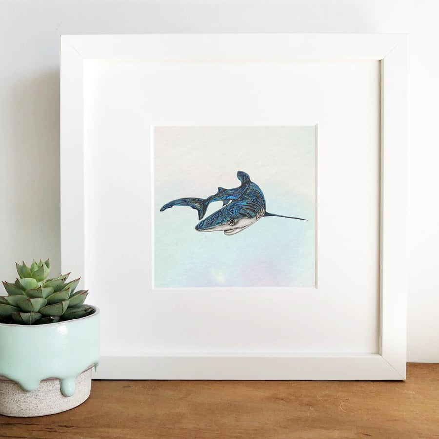 'Blue Shark' Hand Finished Framed Print