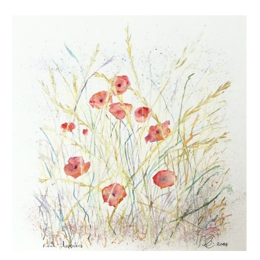 Framed Poppy Flowers Botanical Original Watercolour Painting