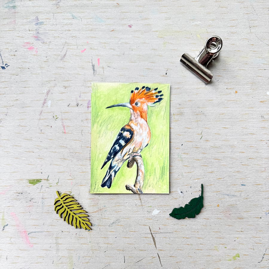 Hoopee Bird Miniature Original ACEO painting - One of a kind