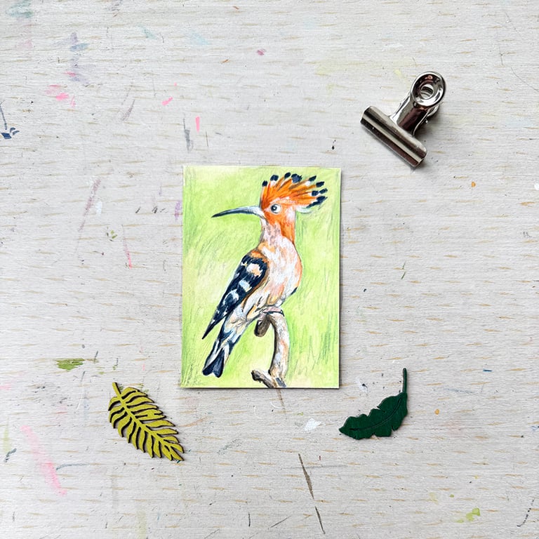 Hoopee Bird Miniature Original ACEO painting - One of a kind