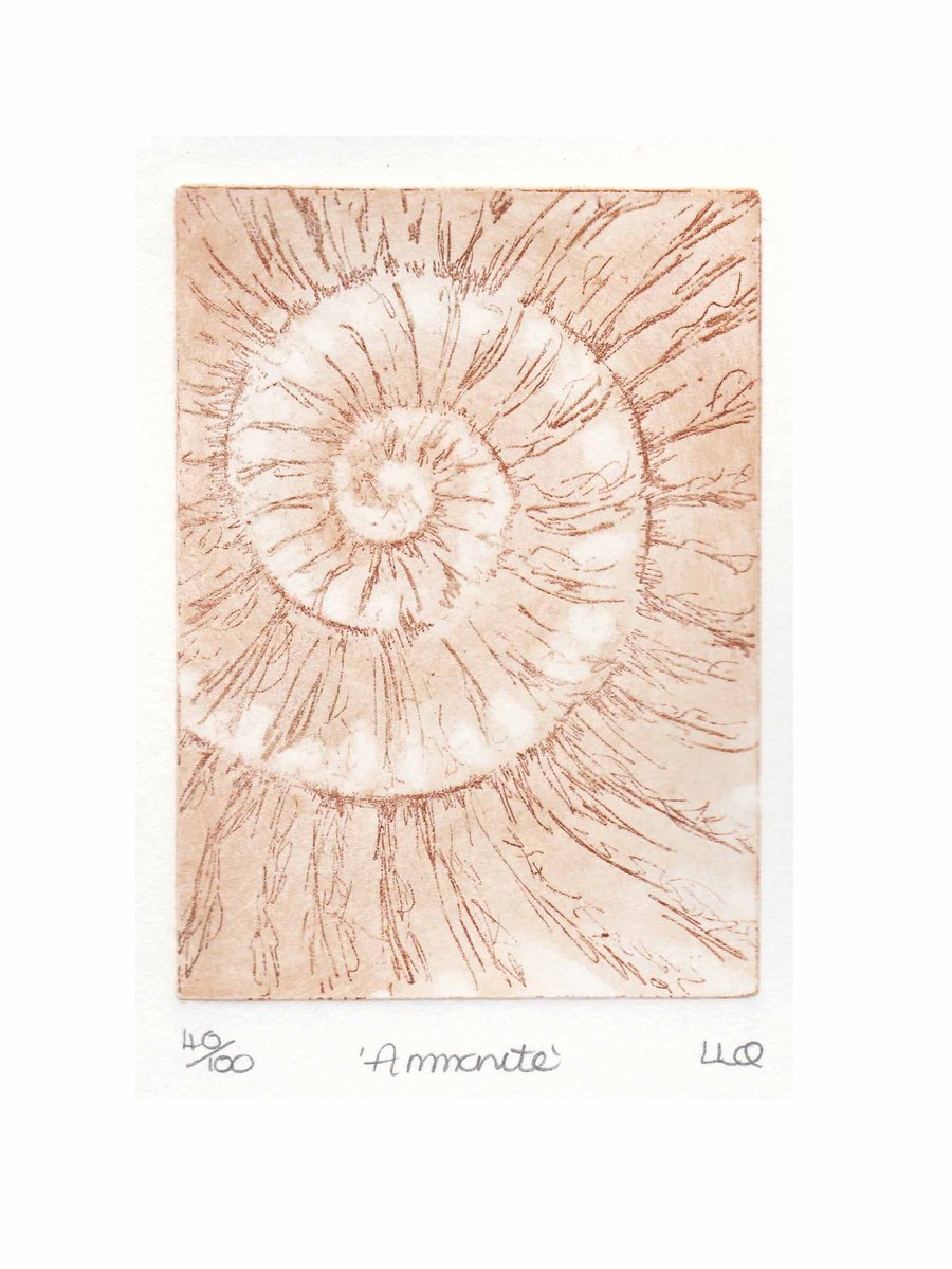 Etching no.40 of an ammonite fossil in an edition of 100