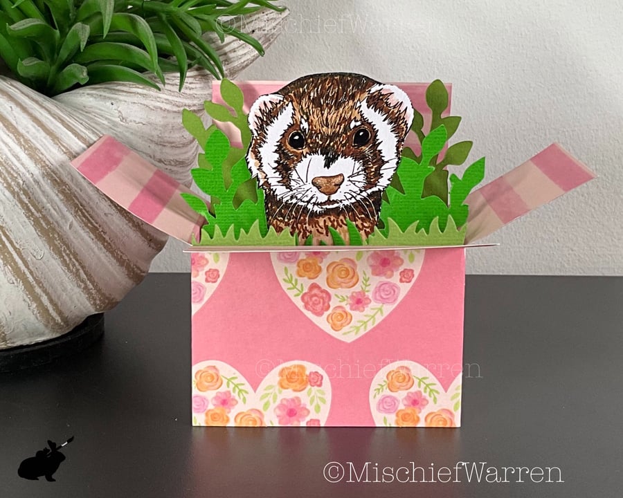 Polecat Ferret Card. 3D Box card. Blank or personalised. Gift card holder.