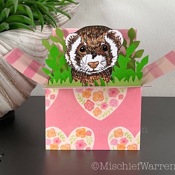 Polecat Ferret Card. 3D Box card. Blank or personalised. Gift card holder.