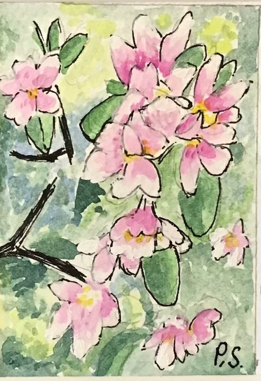 Original watercolour, ACEO, 3.5” x 2.5”,  Apple Blossom, white mount