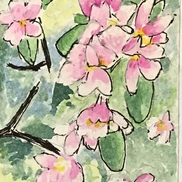 Original watercolour, ACEO, 3.5” x 2.5”,  Apple Blossom, white mount
