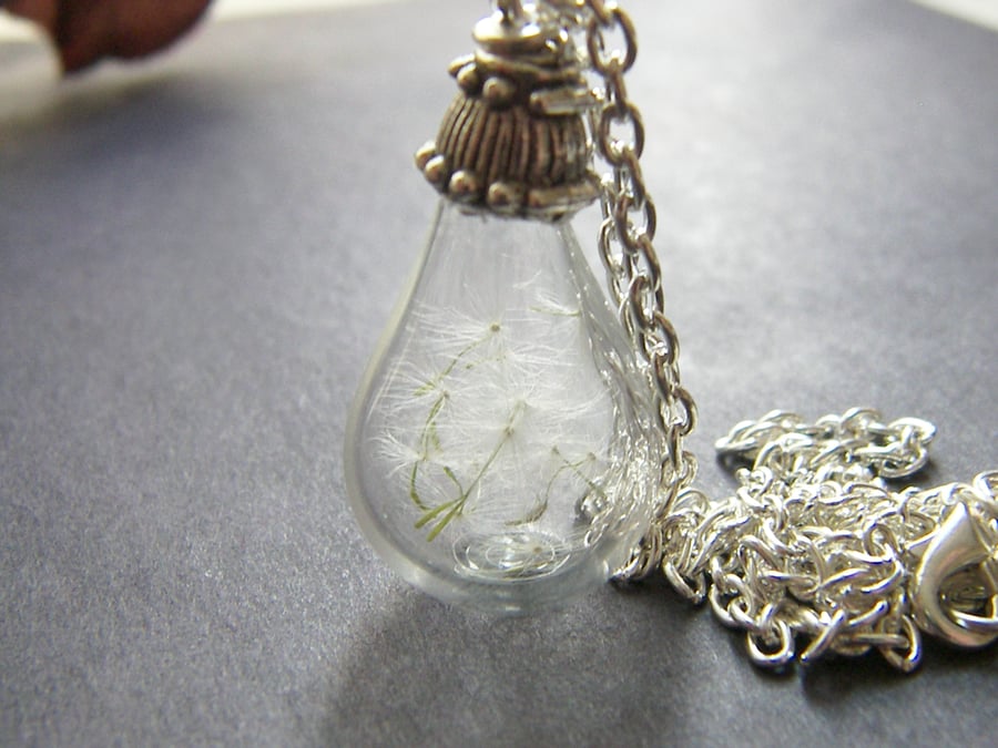 Real Dandelion Seeds Necklace Hand Blown Glass Tear Drop - MAKE A WISH