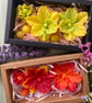 Scented Orchid Soap Flowers Gift Set: Cattleya an Amazing Thank You Gift