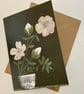 Magnolia, blank greetings card 