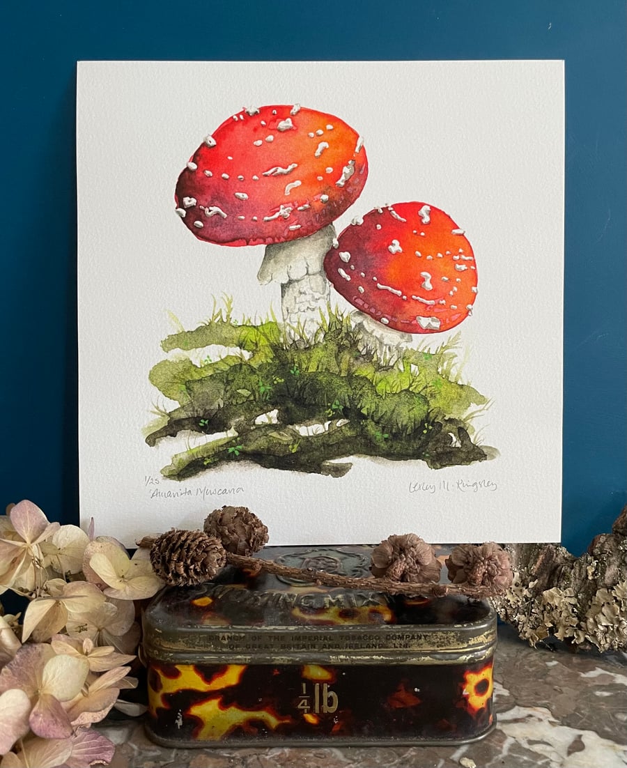 'Amanita Muscaria' limited edition giclée print