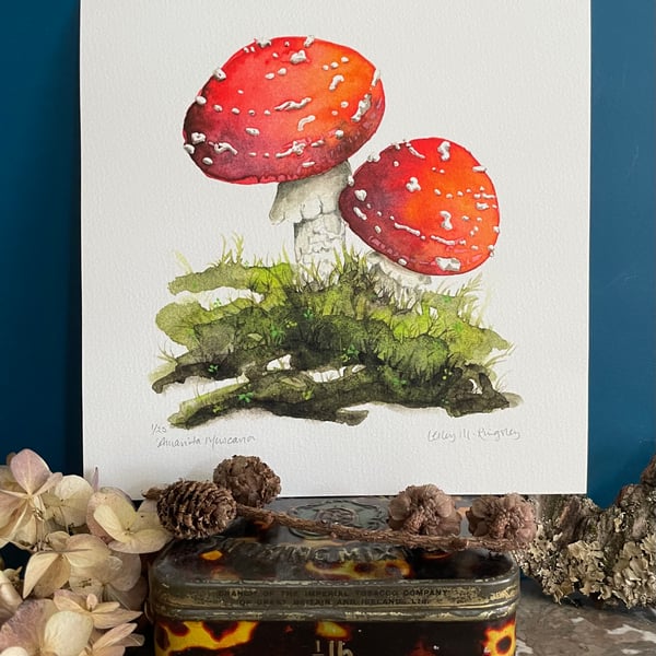 'Amanita Muscaria' limited edition giclée print