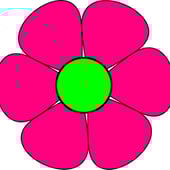 The Cotton Box by Paula