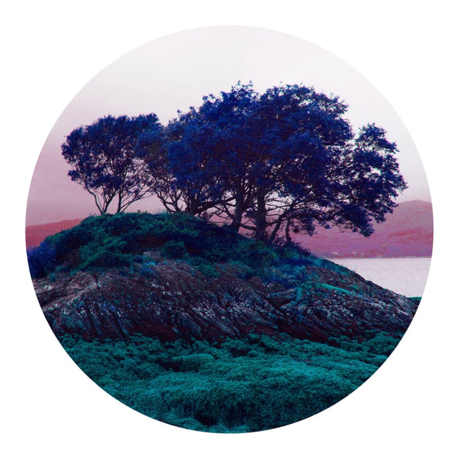 Morvern Peninsula - limited edition circular tree print. statement wall art