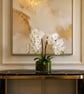 Luxury White Orchid Arrangement in Glass Bowl