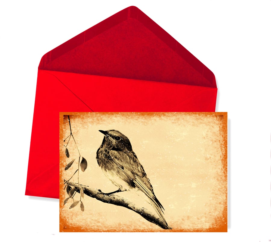 SALE - Christmas Card, Robin in Snow 