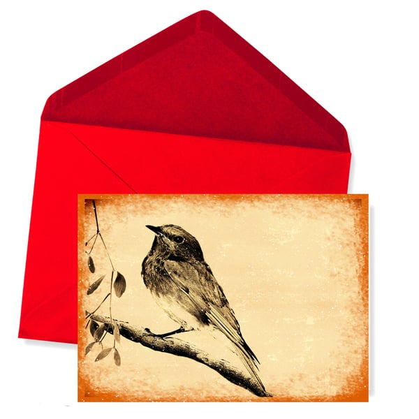 SALE - Christmas Card, Robin in Snow 