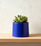 Small Prussian Blue Plant Pot - 7.5 cm Mini Succulent Pot