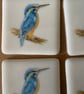 King fisher coasters-fused glass-kingfisher bird-gift-Mother s Day-birthday gift