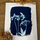 Cow Parsley Mounted Print