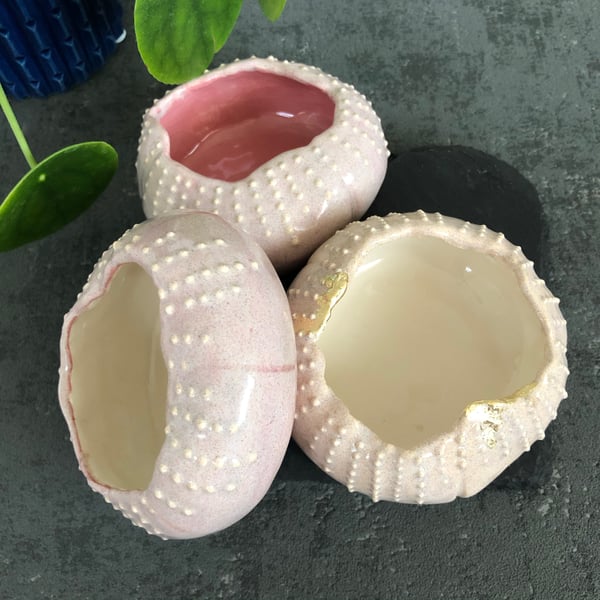 Ceramic succulent planters