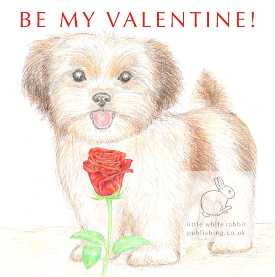 Lizzie the Shih Tzu Cross - Valentine Card