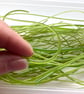 50g Mixed Green Bullseye 90 coe glass Vitrigraph stringers - Image 3