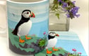 Mugs & Coasters