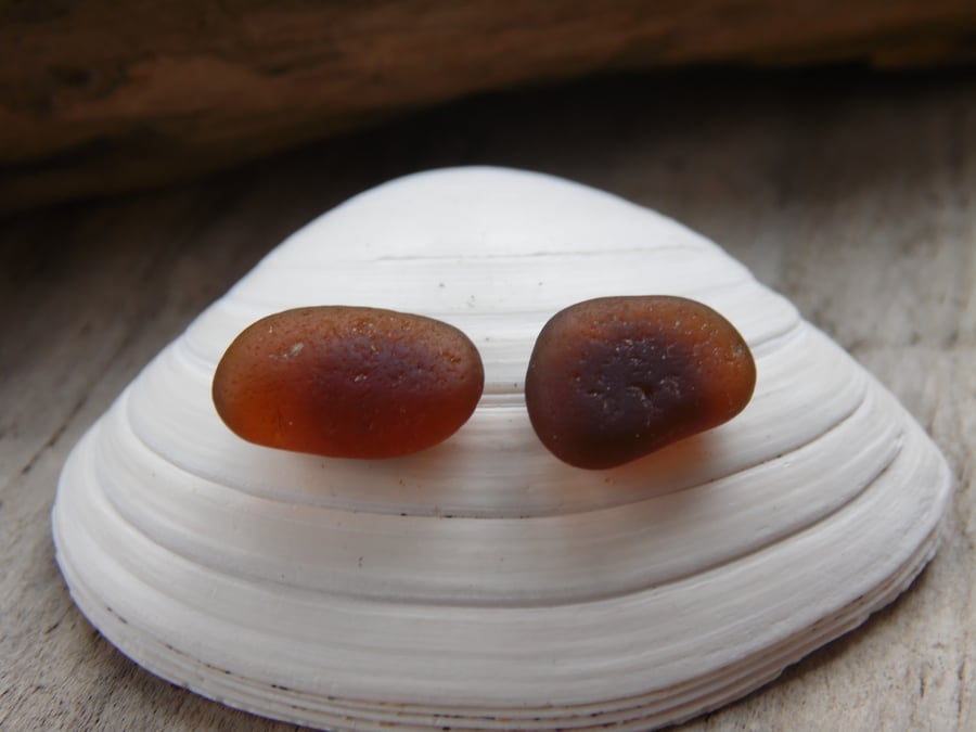 Amber Studs Cornish, Marazion Sea Glass Earrings, Sterling Silver E668