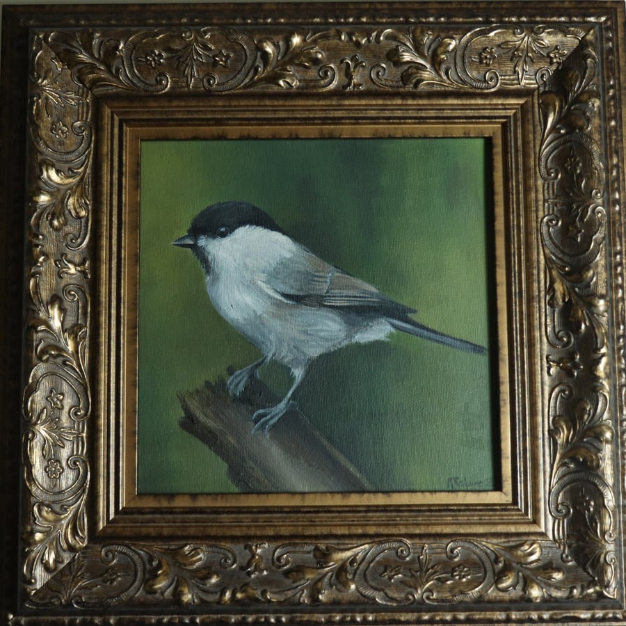 Lockdown's Morning Chorus Series - Marsh Tit 1 , Bird Artwork, Framed Art, Garde
