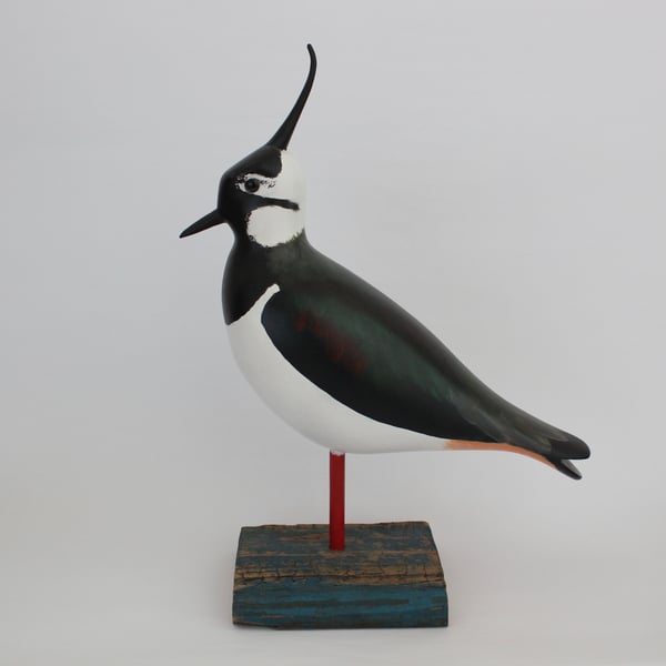 Lapwing