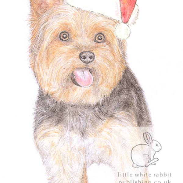 Dennis the Yorkie - Christmas Hat Card