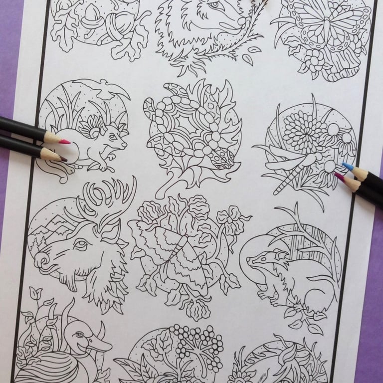 Miniature Wildlife A4 Colouring Page Printable JPG by S Godwin Studio