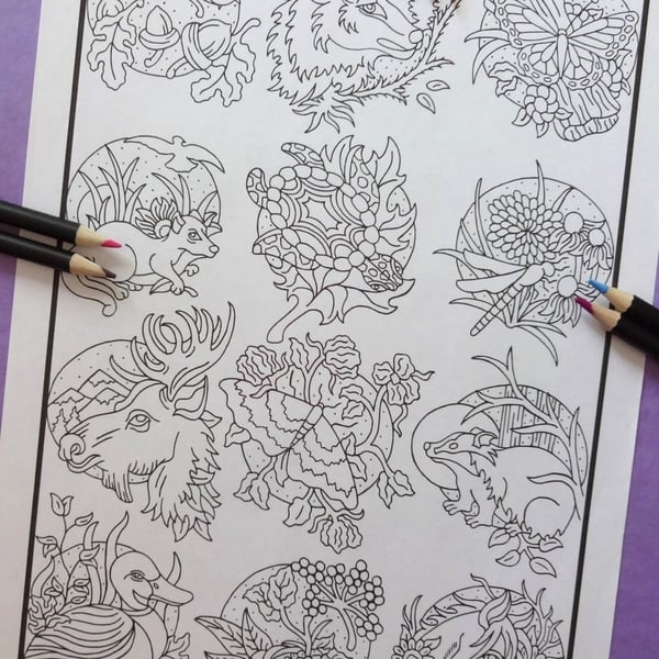 Miniature Wildlife A4 Colouring Page Printable JPG by S Godwin Studio