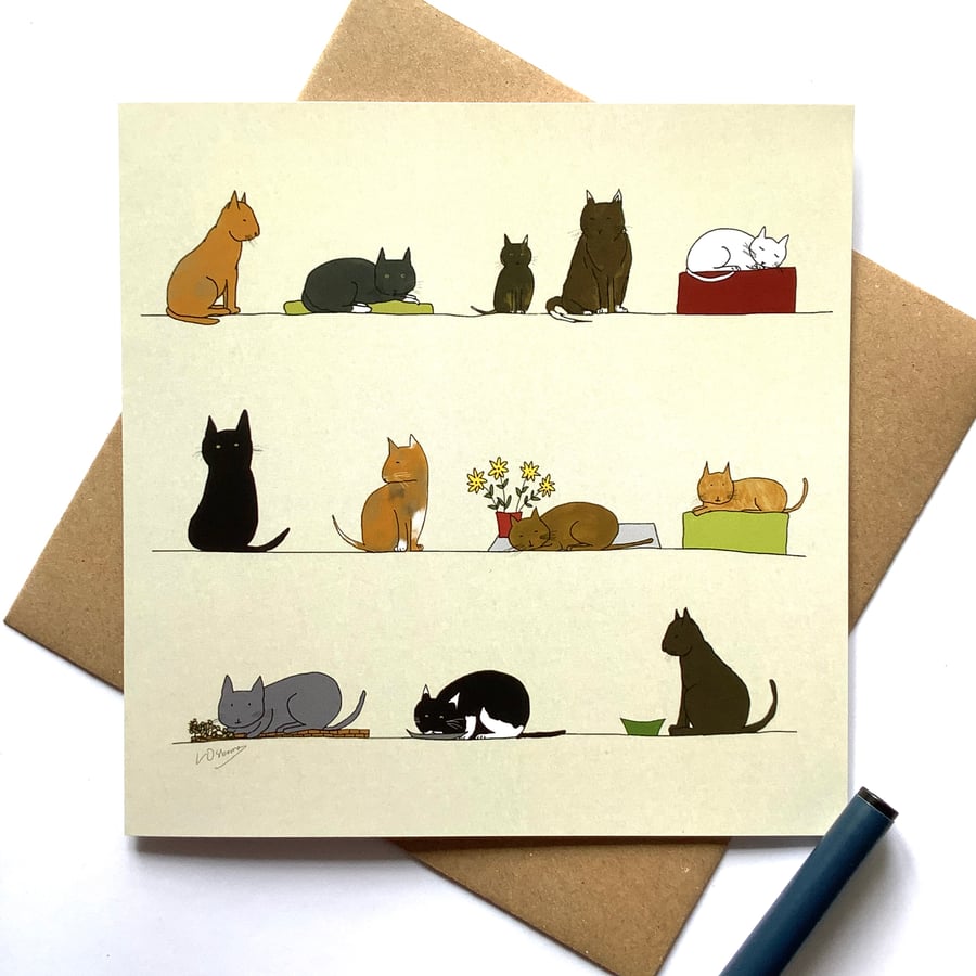 Cats - greetings card - blank for your own message
