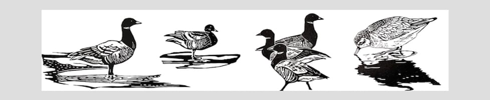 Jem Gooding - Painter • Printmaker 