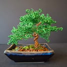 Small Wire Wrapped Bonsai Tree 