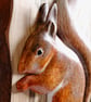 Red squirrel panel - Image 2