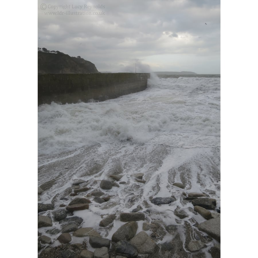 Charlestown Sea Patterns Print