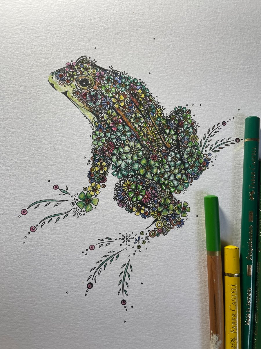 Pre order ltd edition Frog print 