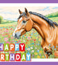 Happy Birthday Horse in Meadow Card A5