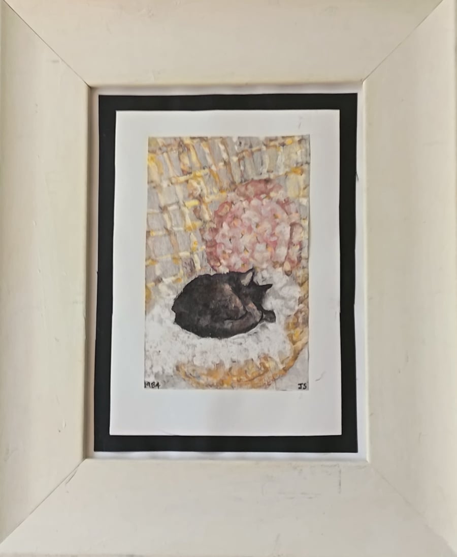 Cat sleeping in a wicker chair