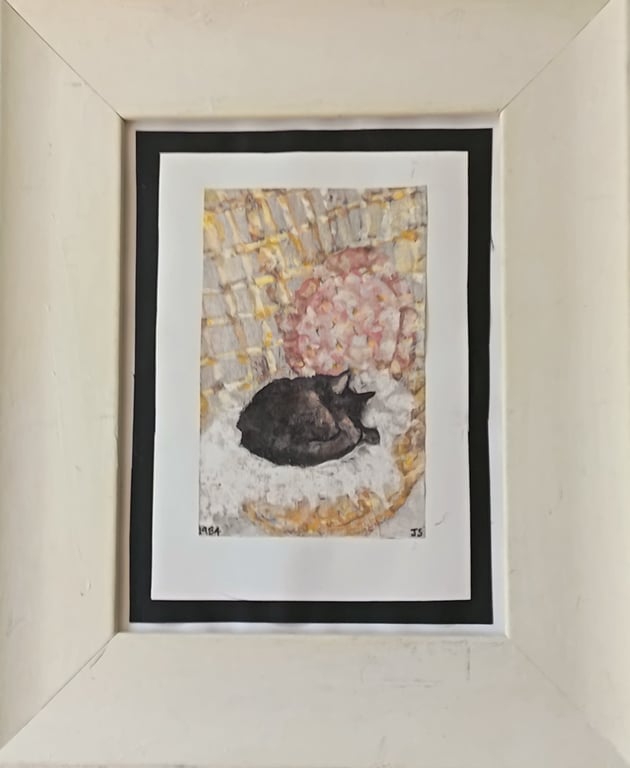 Cat sleeping in a wicker chair