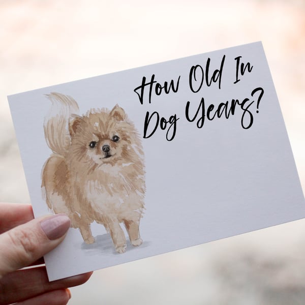 Pomeranian Dog Birthday Card, Dog Birthday Card