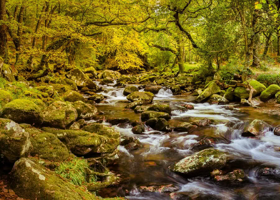 Signed limited edition photo print of the River Plym at Shaugh Prior, Devon
