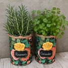 Midnight bloom floral grow your own herb gift set 