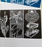 Coastal Lino print Beach finds shells pebbles starfish - Image 3