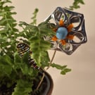 Silver, blue, orange flower plant companions perfect for pot plants