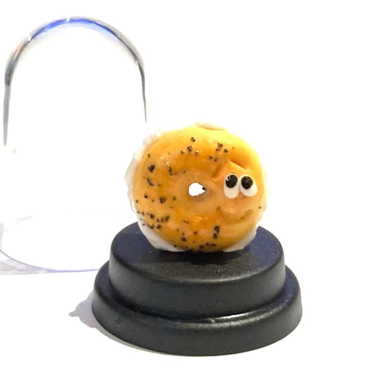 Pet Bagel, Pet Cream cheese bagel, Bagel lover